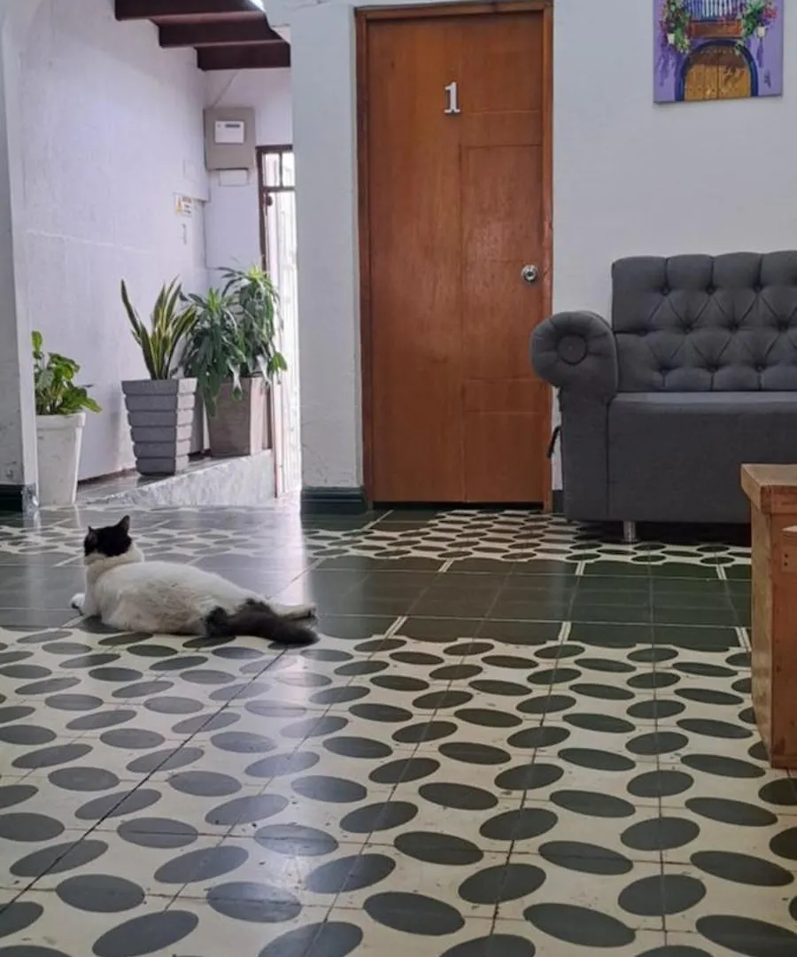 بيت ضيافة Hostal Casa Lara Cartagena